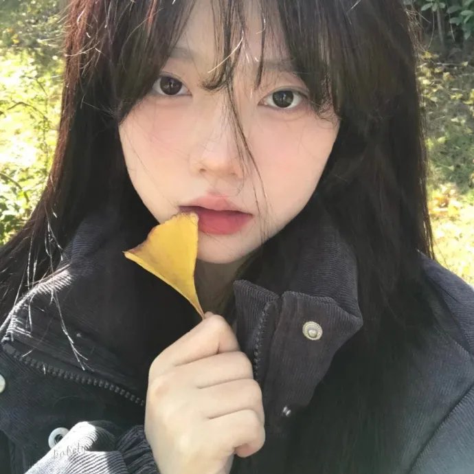 儿媳记 第二季